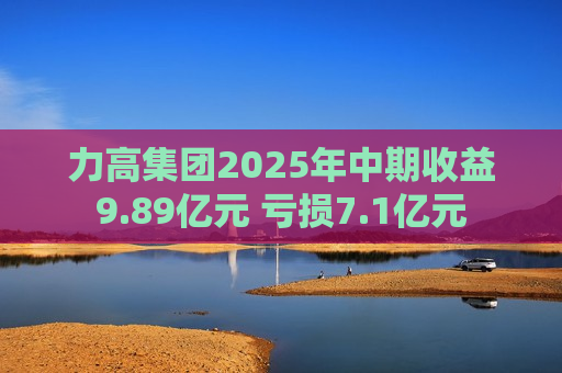 力高集团2025年中期收益9.89亿元 亏损7.1亿元