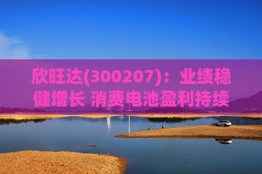 欣旺达(300207):业绩稳健增长 消费电池盈利持续优化 欣旺达(300207):业绩稳健增长 消费电池盈利持续优化