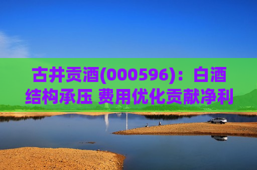 古井贡酒(000596)：白酒结构承压 费用优化贡献净利率提升