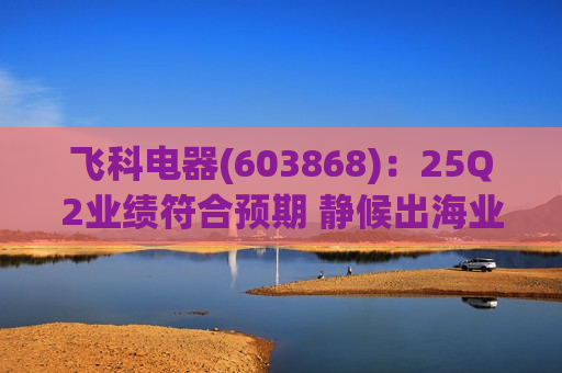 飞科电器(603868):25Q2业绩符合预期 静候出海业务放量 飞科电器(603868):25Q2业绩符合预期 静候出海业务放量