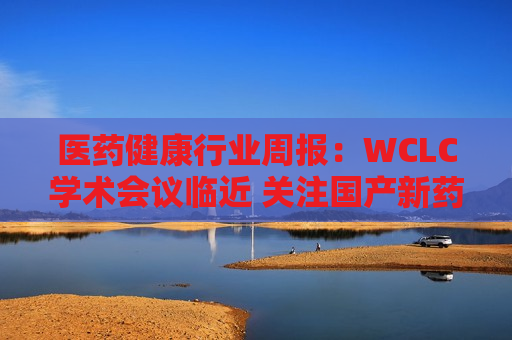 医药健康行业周报：WCLC学术会议临近 关注国产新药投资机会