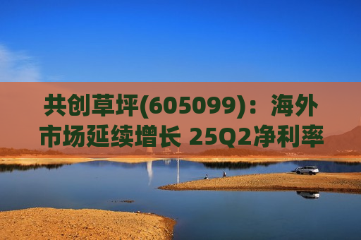 共创草坪(605099)：海外市场延续增长 25Q2净利率改善
