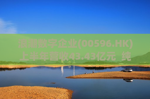 浪潮数字企业(00596.HK)上半年营收43.43亿元  纯利增长73.26%至1.83亿元