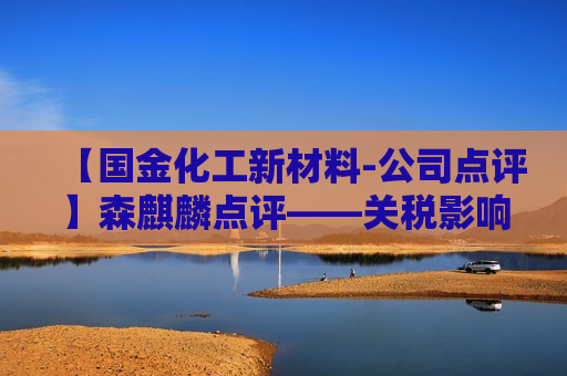 【国金化工新材料-公司点评】森麒麟点评——关税影响，业绩阶段性承压（2025-08-30）