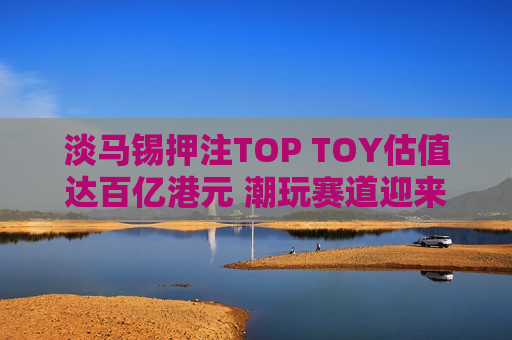 淡马锡押注TOP TOY估值达百亿港元 潮玩赛道迎来双雄争霸