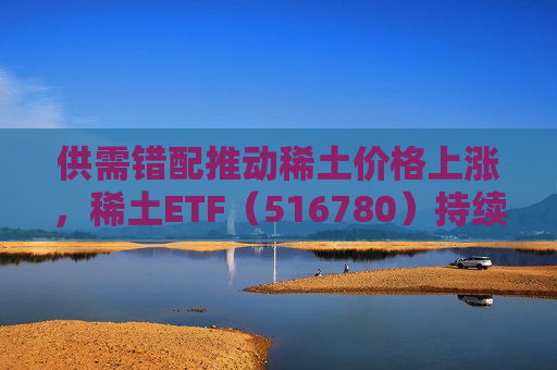 供需错配推动稀土价格上涨，稀土ETF（516780）持续“吸金”