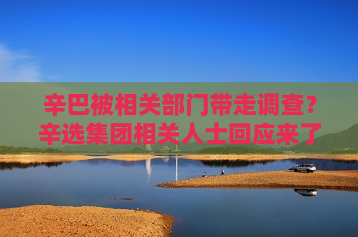 辛巴被相关部门带走调查？辛选集团相关人士回应来了