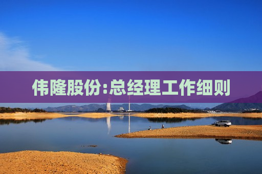 伟隆股份:总经理工作细则