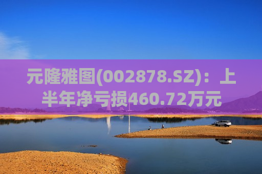 元隆雅图(002878.SZ)：上半年净亏损460.72万元