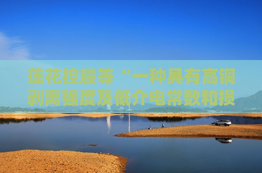 莲花控股等“一种具有高铜剥离强度及低介电常数和损耗的阻燃增层膜及其制备方法”专利获授权
