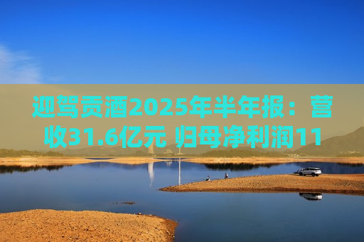 迎驾贡酒2025年半年报：营收31.6亿元 归母净利润11.3亿元