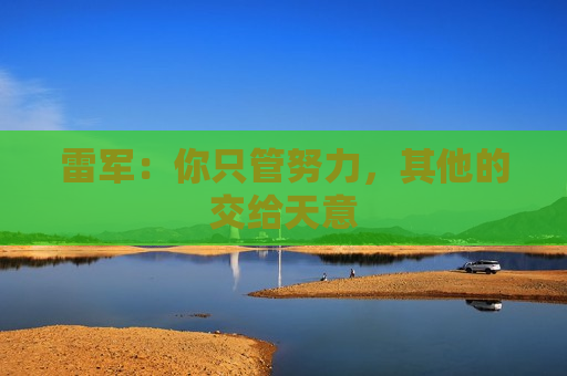 雷军：你只管努力，其他的交给天意