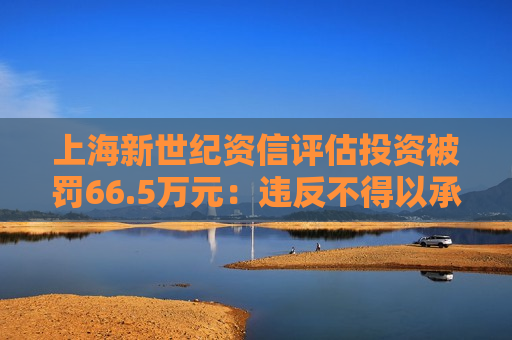 上海新世纪资信评估投资被罚66.5万元：违反不得以承诺低收费手段招揽业务管理规定等