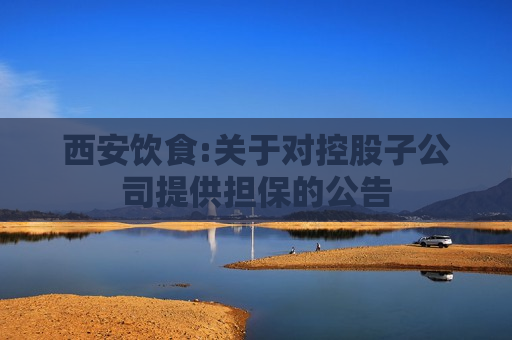 西安饮食:关于对控股子公司提供担保的公告