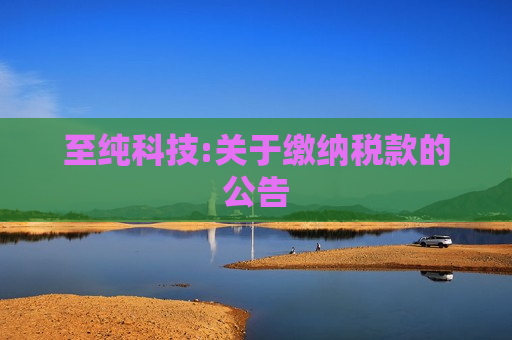 至纯科技:关于缴纳税款的公告