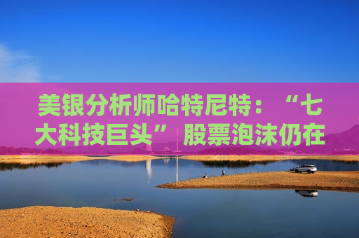 美银分析师哈特尼特：“七大科技巨头” 股票泡沫仍在扩大