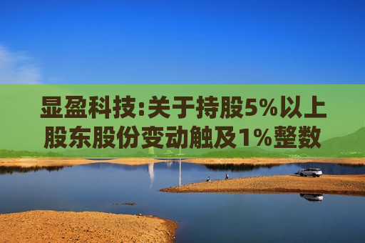 显盈科技:关于持股5%以上股东股份变动触及1%整数倍的公告