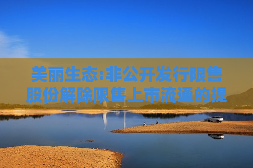 美丽生态:非公开发行限售股份解除限售上市流通的提示性公告