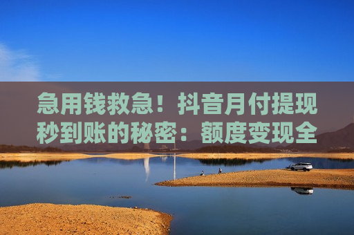 急用钱救急！抖音月付提现秒到账的秘密：额度变现全流程