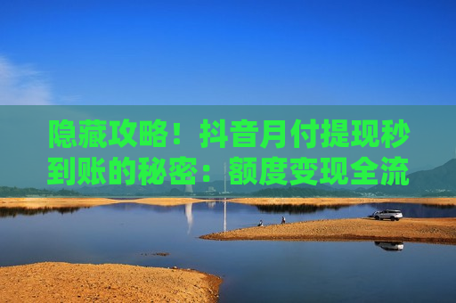 隐藏攻略!抖音月付提现秒到账的秘密:额度变现全流程解析 隐藏攻略!抖音月付提现秒到账的秘密:额度变现全流程解析