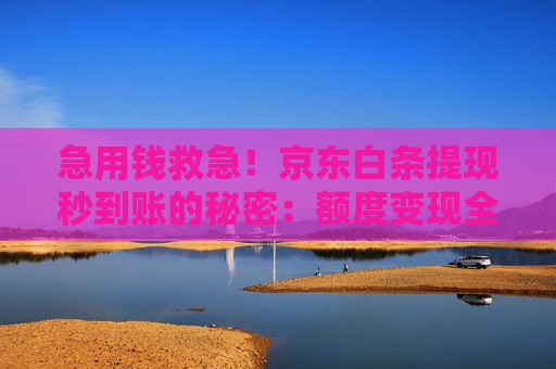 急用钱救急！京东白条提现秒到账的秘密：额度变现全流程