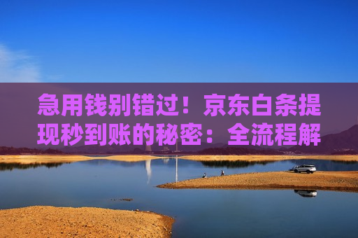 急用钱别错过!京东白条提现秒到账的秘密:全流程解析 急用钱别错过!京东白条提现秒到账的秘密:全流程解析