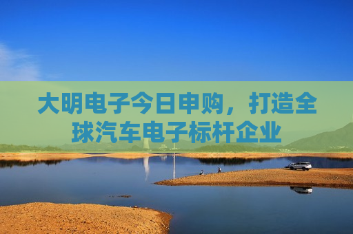 大明电子今日申购,打造全球汽车电子标杆企业 大明电子今日申购,打造全球汽车电子标杆企业