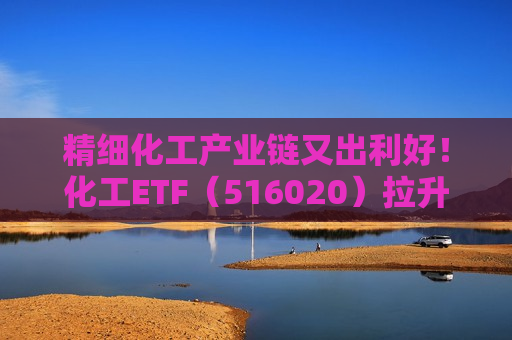 精细化工产业链又出利好!化工ETF(516020)拉升1.0%!机构:全球化工格局重塑 精细化工产业链又出利好!化工ETF(516020)拉升1.0%!机构:全球化工格局重塑