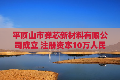 平顶山市弹芯新材料有限公司成立 注册资本10万人民币 平顶山市弹芯新材料有限公司成立 注册资本10万人民币