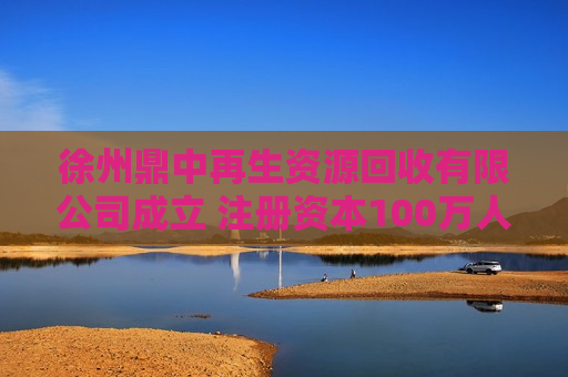 徐州鼎中再生资源回收有限公司成立 注册资本100万人民币