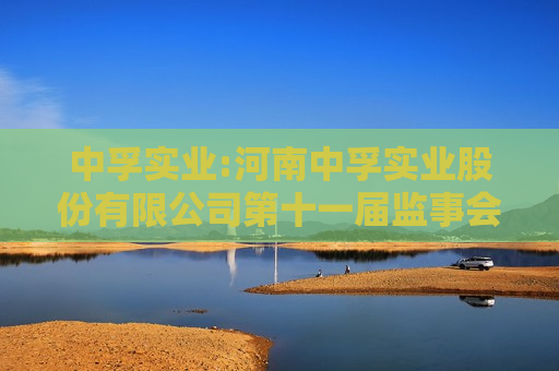 中孚实业:河南中孚实业股份有限公司第十一届监事会第八次会议决议公告 中孚实业:河南中孚实业股份有限公司第十一届监事会第八次会议决议公告
