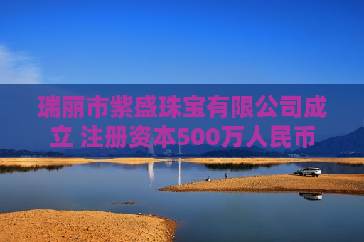 瑞丽市紫盛珠宝有限公司成立 注册资本500万人民币