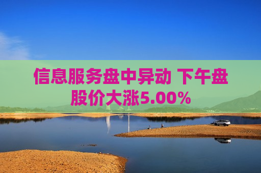 信息服务盘中异动 下午盘股价大涨5.00%