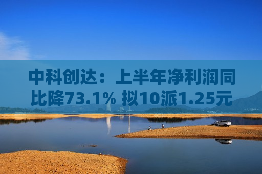 中科创达：上半年净利润同比降73.1% 拟10派1.25元