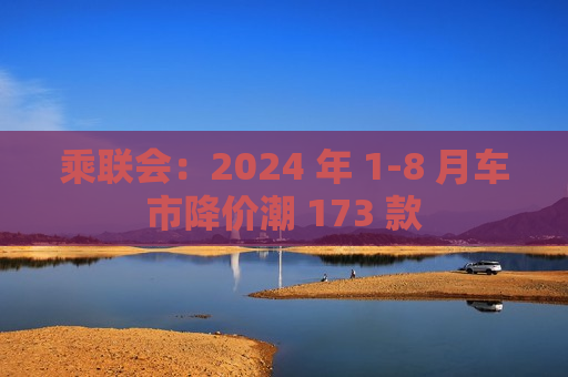 乘联会：2024 年 1-8 月车市降价潮 173 款