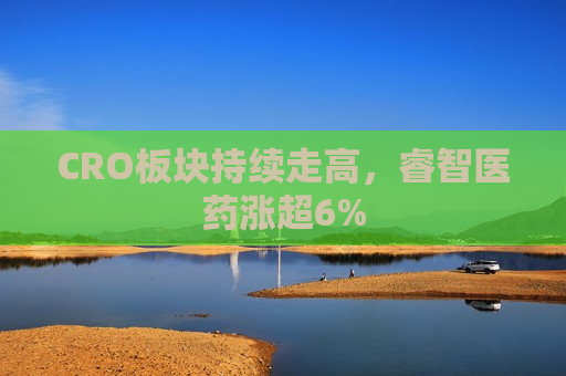 CRO板块持续走高，睿智医药涨超6%