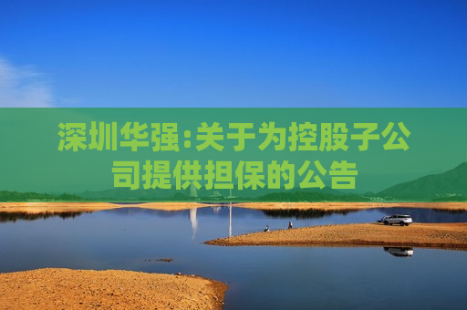 深圳华强:关于为控股子公司提供担保的公告