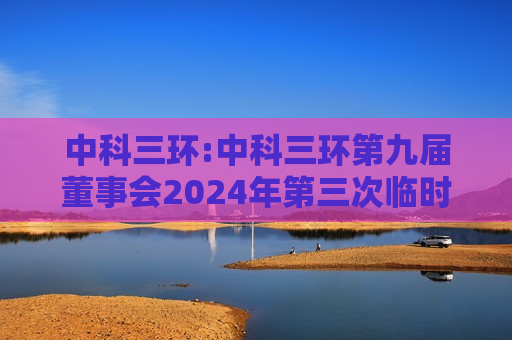 中科三环:中科三环第九届董事会2024年第三次临时会议决议公告