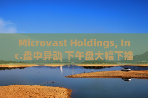 Microvast Holdings, Inc.盘中异动 下午盘大幅下挫6.50%报0.188美元