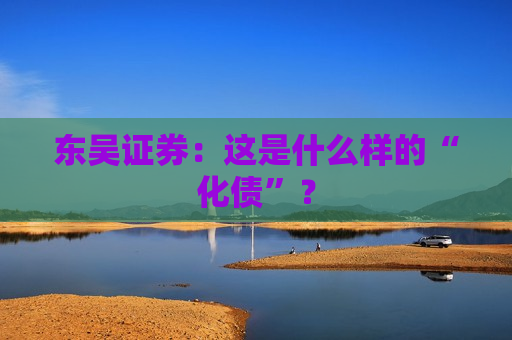 东吴证券：这是什么样的“化债”？