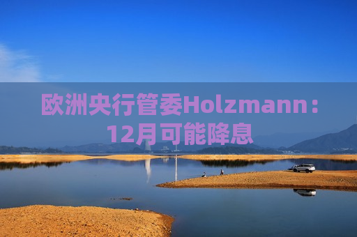 欧洲央行管委Holzmann：12月可能降息