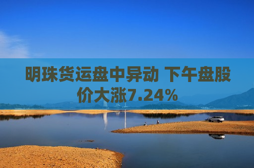 明珠货运盘中异动 下午盘股价大涨7.24%