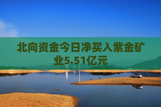 北向资金今日净买入紫金矿业5.51亿元