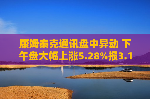 康姆泰克通讯盘中异动 下午盘大幅上涨5.28%报3.19美元