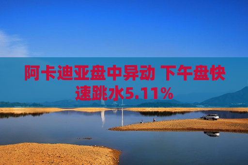 阿卡迪亚盘中异动 下午盘快速跳水5.11%