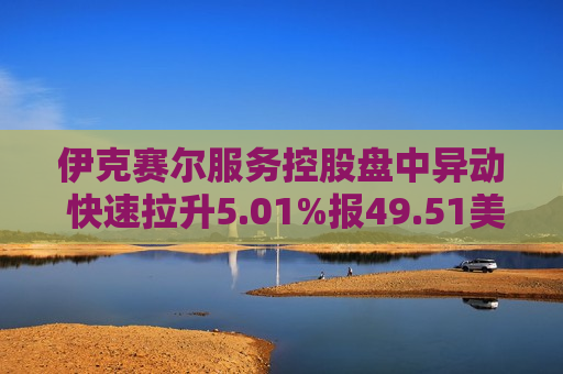 伊克赛尔服务控股盘中异动 快速拉升5.01%报49.51美元