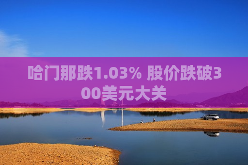 哈门那跌1.03% 股价跌破300美元大关