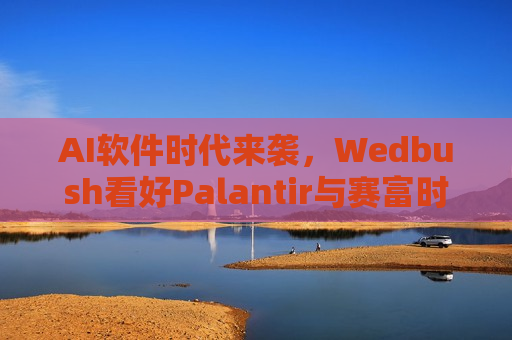 AI软件时代来袭，Wedbush看好Palantir与赛富时领跑2025年AI革命