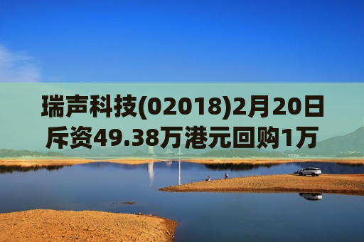 瑞声科技(02018)2月20日斥资49.38万港元回购1万股