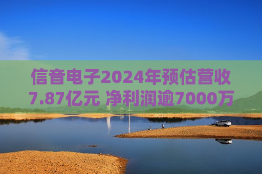 信音电子2024年预估营收7.87亿元 净利润逾7000万元